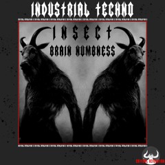 PREMIERE : INSECT - Brain Numbness (CRI013)