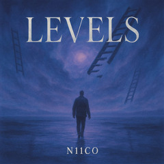 N11CO - LEVELS