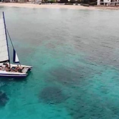 Review Special Price Barbados Catamaran Snorkel Cruise With Lunch And Open Bar