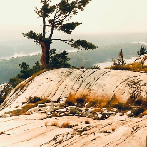Silver Peak