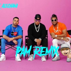 PAM- JUSTIN QUILES- DADDY YANKE DJ ALE CHANI