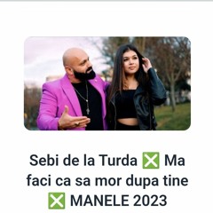 Sebi de la Turda  - Mă faci ca să mor după tine