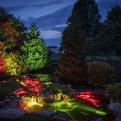Ep. 19: New Year Must-Haves for Minnesota Ponds: What’s Popular for the 2025 Season