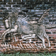 memories from the future / HOLY Iguazu, Argentina 13.07.2025