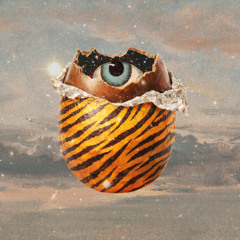 Tiger's Post-Soviet New Year Chill