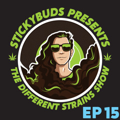 The Different Strains Show (EP15) - 2010 Throwback Set.