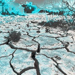 Winter Warmup @ Moontribe December 2025