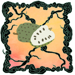 FRUITCAST #85 I DJ Feldweg I The sweet and sour Sirsak Saga