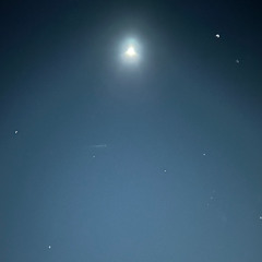 Nobody Ever Visits the Archives