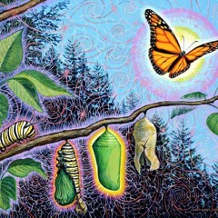 Ready To Fly (PSYTRANCE 151.51 BPM)