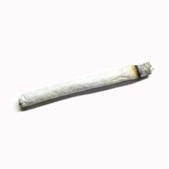 ROLLERS ALL THE WAY [BILL]