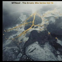 The Erratic Mix Series Vol 16