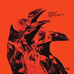Blckbrd x NIKKO - CROWS DON'T FORGET