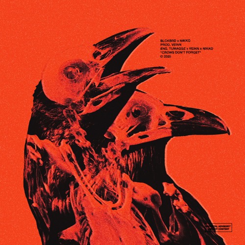 Blckbrd x NIKKO - CROWS DON'T FORGET