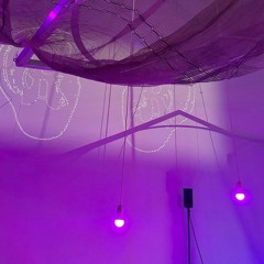 Radical Receptionist* II. Opening