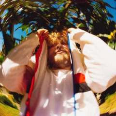 Purple Fields (In My Mind)