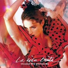 La Isla Bonita - Madonna (Wild And Free Mix) - REMIX