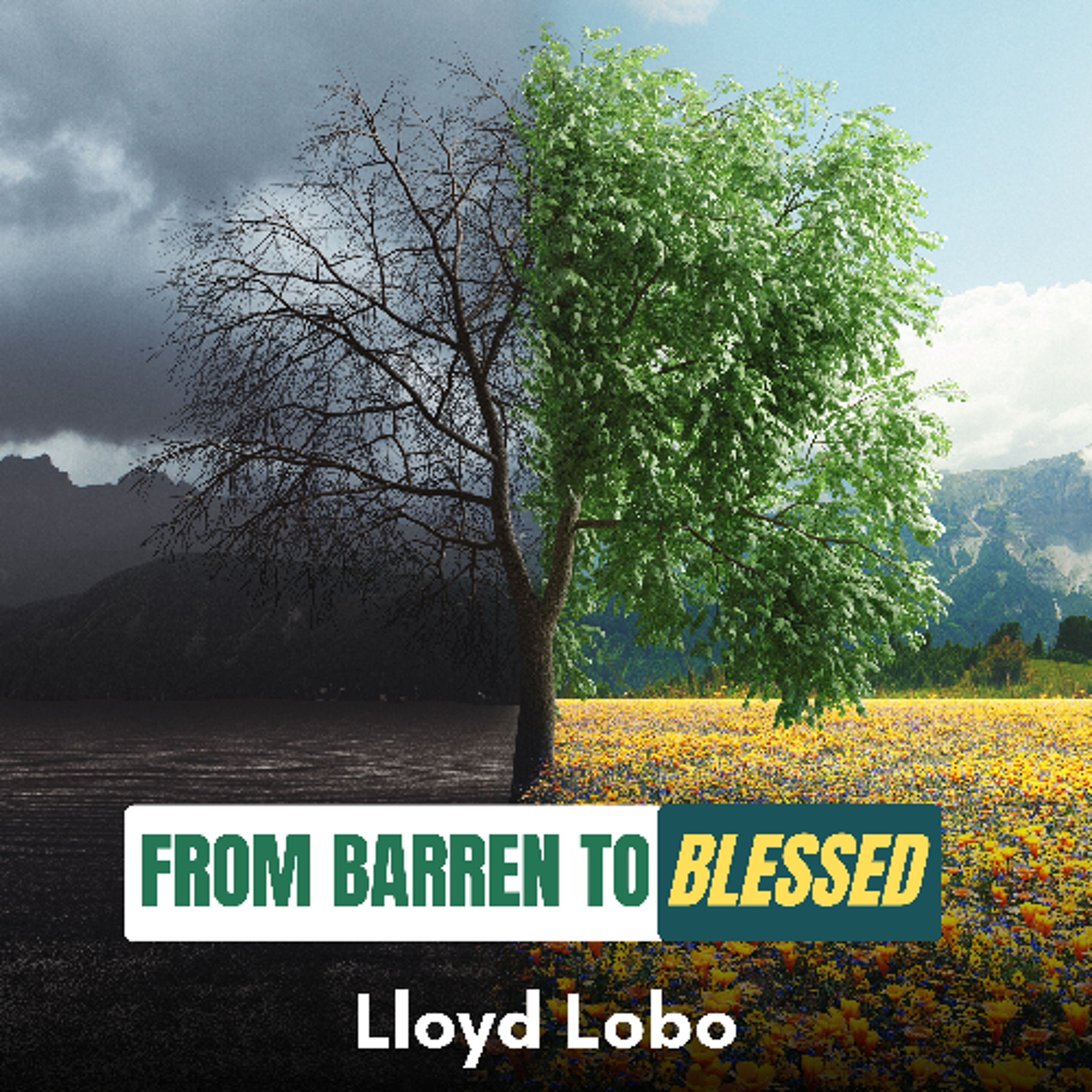 From Barren to Blessed - Lloyd Lobo episode artwork