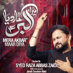 Mera Akbar (a.s) Maar Diya  --  Syed Raza Abbas Zaidi  --  2025