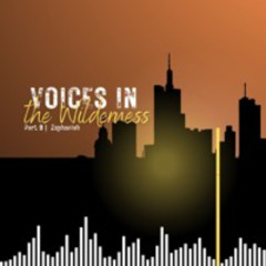 Voices in the Wilderness Part IX - Zephaniah - Shaun Storer - (Sunday 26 May 2024)