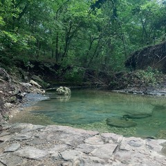 arbor hills