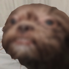 Prometto d stare con te