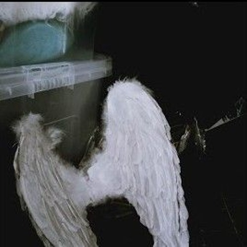 Angel - TXKUMOON