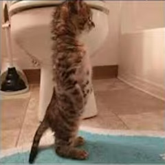 Ya No Tira (prod. kxxdo)