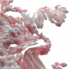 N Ů · T W Ξ R K