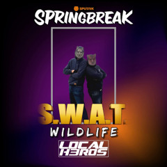 Wildlife @ S.W.A.T. Campingstage 06.06.2025 ( Sputnik Springbreak )