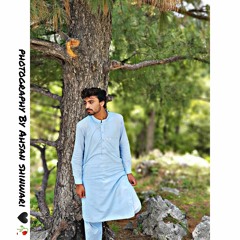 WA_YARA_PALI_PAL_ME_OGORA_FARSI_REMIX_MISS_godya_DANCE_In_Mardan(128k).mp3