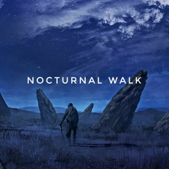 Nocturnal Walk