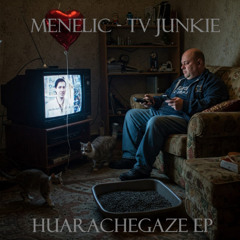 TV Junkie - Menelic