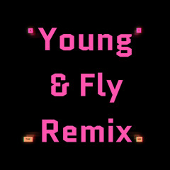 VANNAH - YOUNG & FLY (YINX D JINX REMIX)