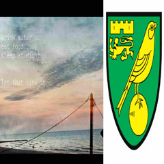 l'oiseau sur le badge | (thirdeye + esspe + eli-o)