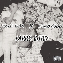 TOOLIE TRIPS ft. ZIGGY MOBB (LARRY BIRD)