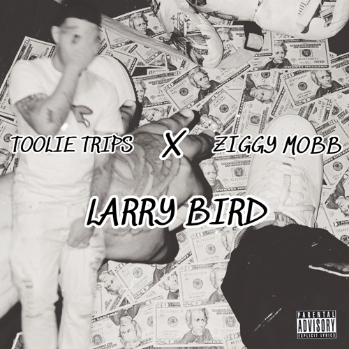 TOOLIE TRIPS ft. ZIGGY MOBB (LARRY BIRD)