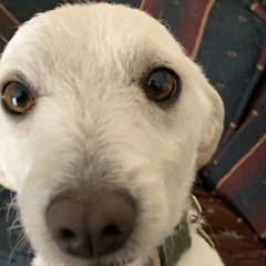 Ignoring an obvious Problem (1)