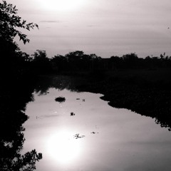 Lofi House Mix Vol. V