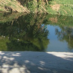 h.e.a.t. (diminished mix)