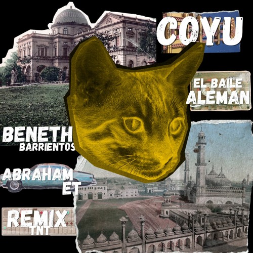 Coyu - El Baile Aleman (Beneth Barrientos & Abraham ET Remix TNT)