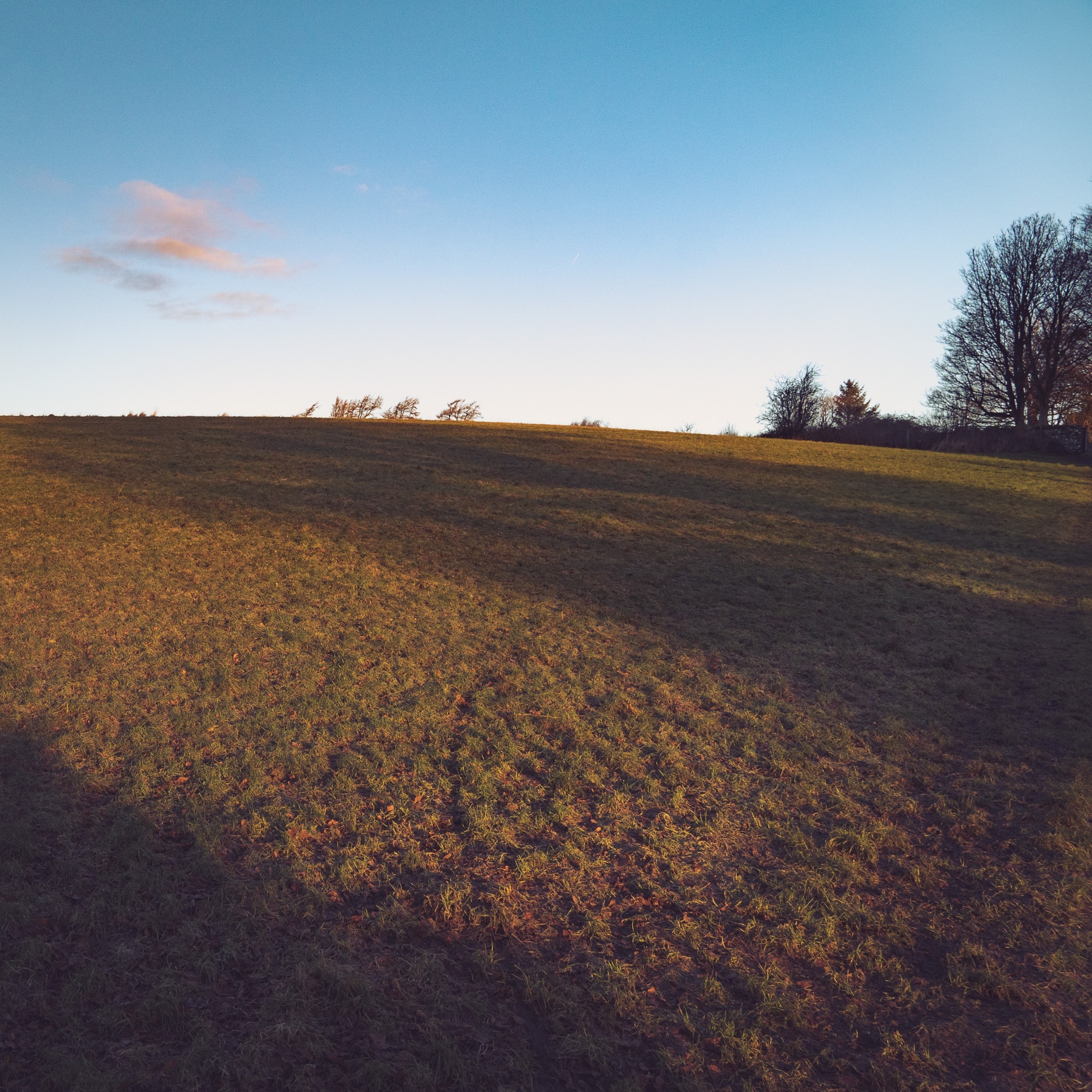 In Golden Light,before The Noise episode artwork