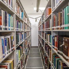 21.11.2025 = BIBLIOTECA DA CÂMARA TEM MAIS DE 24 MIL OBRAS DISPONÍVEIS AO PÚBLICO