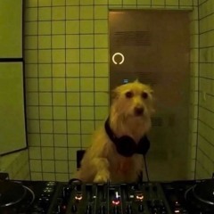 lun evening mix pt.2