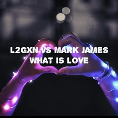 L2GXN & MARK JAMES WHAT IS LOVE.mp3