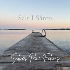 Salt i Såren