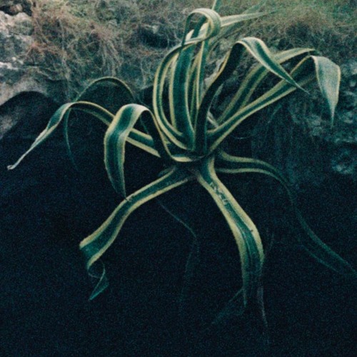 bluparti.wav00_DOXIA