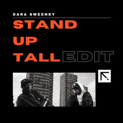 Dizze Rascal - Stand Up Tall (edit)