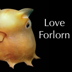 Love Forlorn