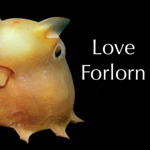 Love Forlorn